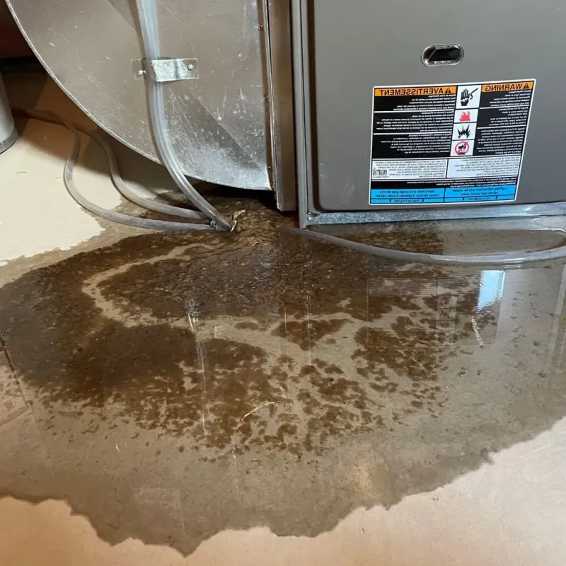 Pipe Burst and Leak Restoration in Adair County, KY