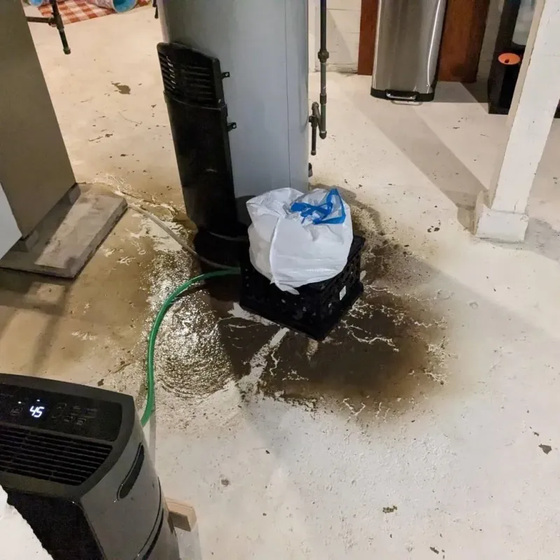Sewage Backup Cleanup Service in Adair County, KY